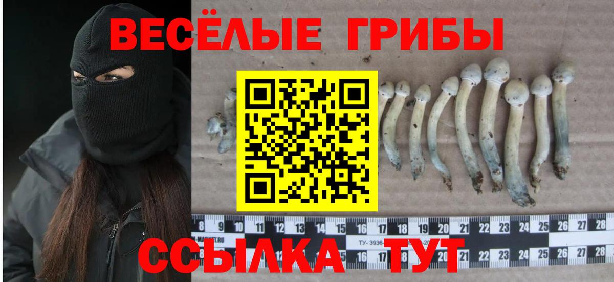 Псилоцибиновые грибы ЛСД Ртищево